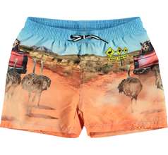 Niko Swimwear